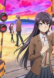 Seishun Buta Yarou wa Bunny Girl Senpai no Yume wo Minai BD/DVD