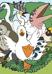 Dibetagurashi: Ahiru no Seikatsu