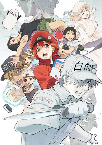 Hataraku Saibou Black (2018) n° 8/Kodansha