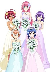 Bokutachi wa Benkyou ga Dekinai!: Chapel no Kane wa [X] wo Shukufuku Suru