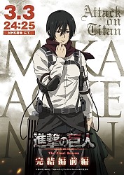 Character Visual (Mikasa)