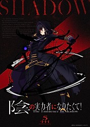 Light Novel Series 5th Anniversary Shadow Visual