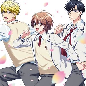 "Hana-Kimi" gets anime project
