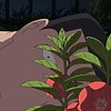 Original film "The Last Blossom" reveals teaser visuals, teaser trailer, Fall 2025 Japan debut
