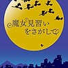 Original anime film "Majo Minarai o Sagashite" (Searching for Witch Apprentice) announced for 2020