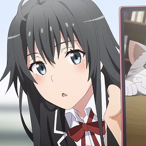 Yahari Ore no Seishun Love Comedy wa Machigatteiru. Kan: Dakara, Shishunki  wa Owarazu ni, Seishun wa Tsuzuiteiku. 